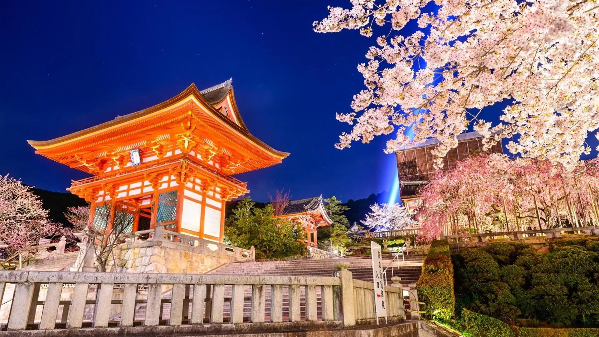 Osaka - Hotel / Vacation Stay 70140